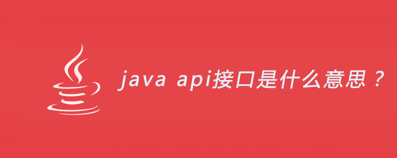 What does java api interface mean?