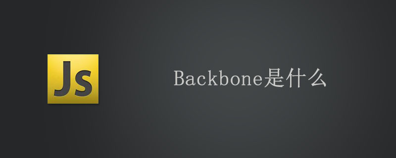 What does backbone mean?