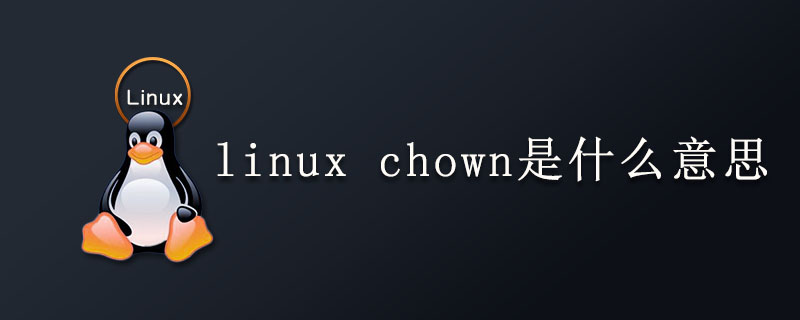 What does linux chown mean?