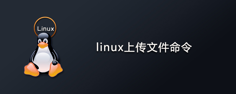 linux上传文件命令