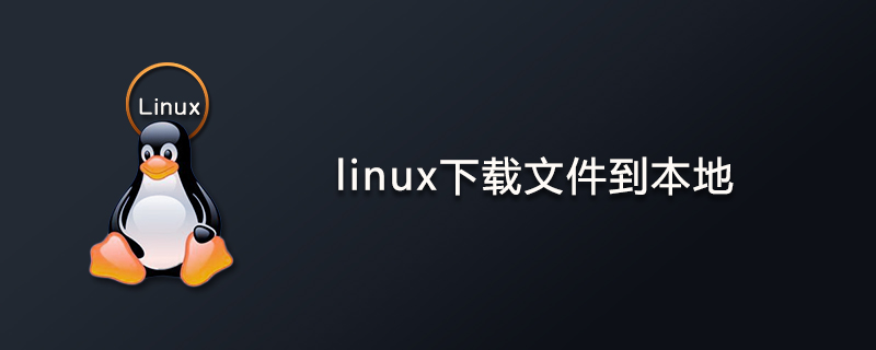 linux下载文件到本地的命令