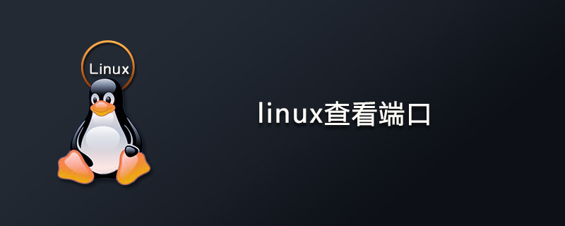 Linux如何查看端口