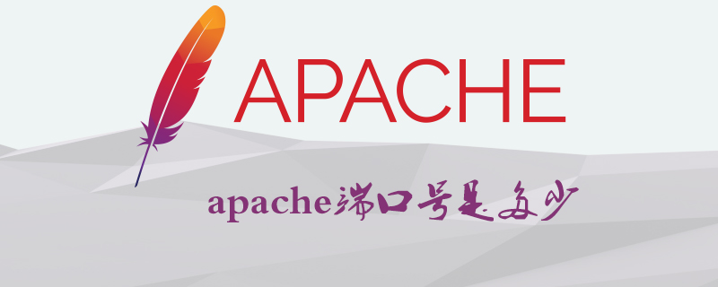 What is the apache port number?