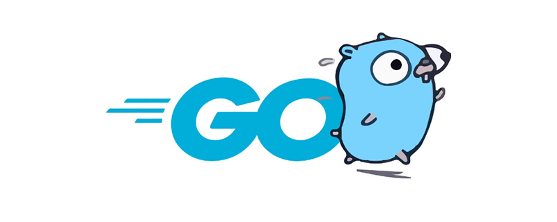 What is the comment coding specification of go language?