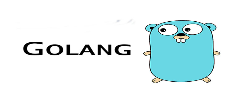 How to start golang iota