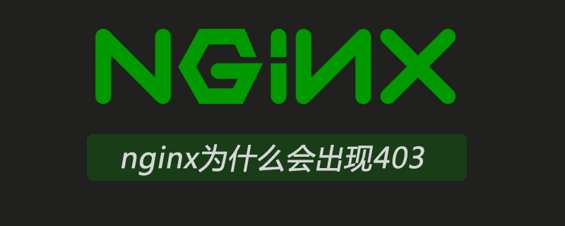 Why does nginx appear 403