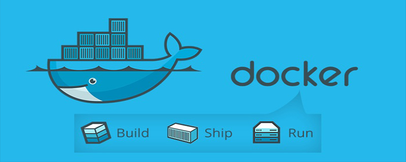 How to put files into docker container