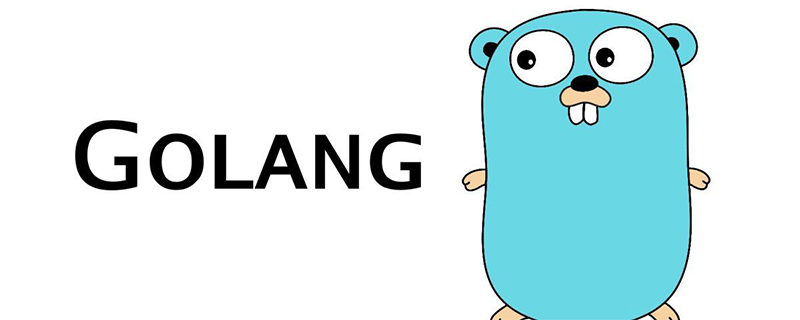 How to debug when developing in golang