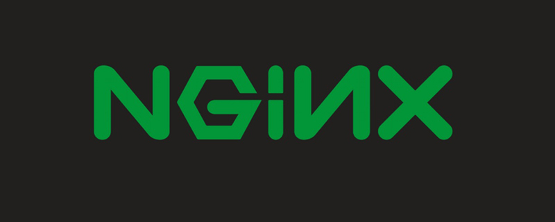 命令行方式启动nginx