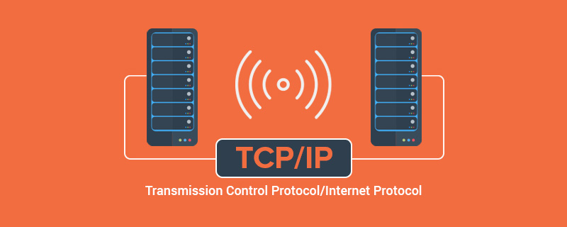 What should I do if the IP address is wrong and the network cannot be connected?