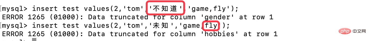 Let’s learn what a MySQL database is