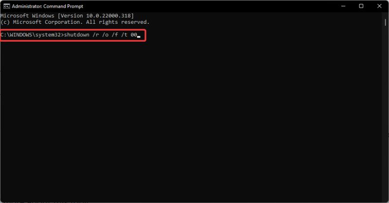 Where are the Win11 boot options?