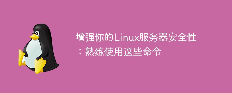 Strengthen your Linux server security: Become proficient with these commands
