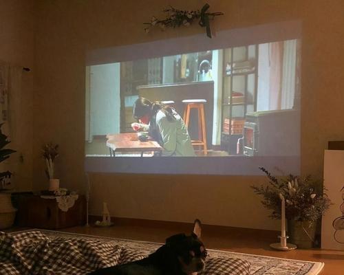 Reasons and solutions for mobile phone projector screen blur (explore the reasons behind the phenomenon of mobile phone projector screen blur)