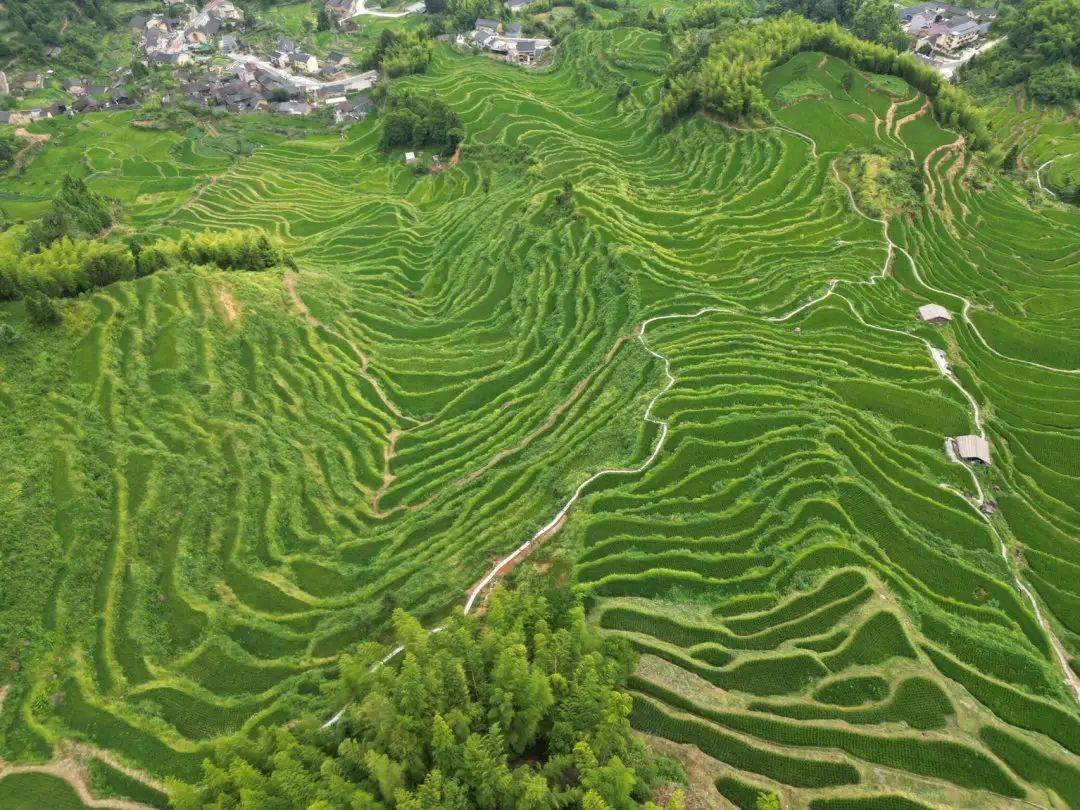 How do Germans use robots to farm? It is foreseeable that farmers may become high-tech and sophisticated professions in the future