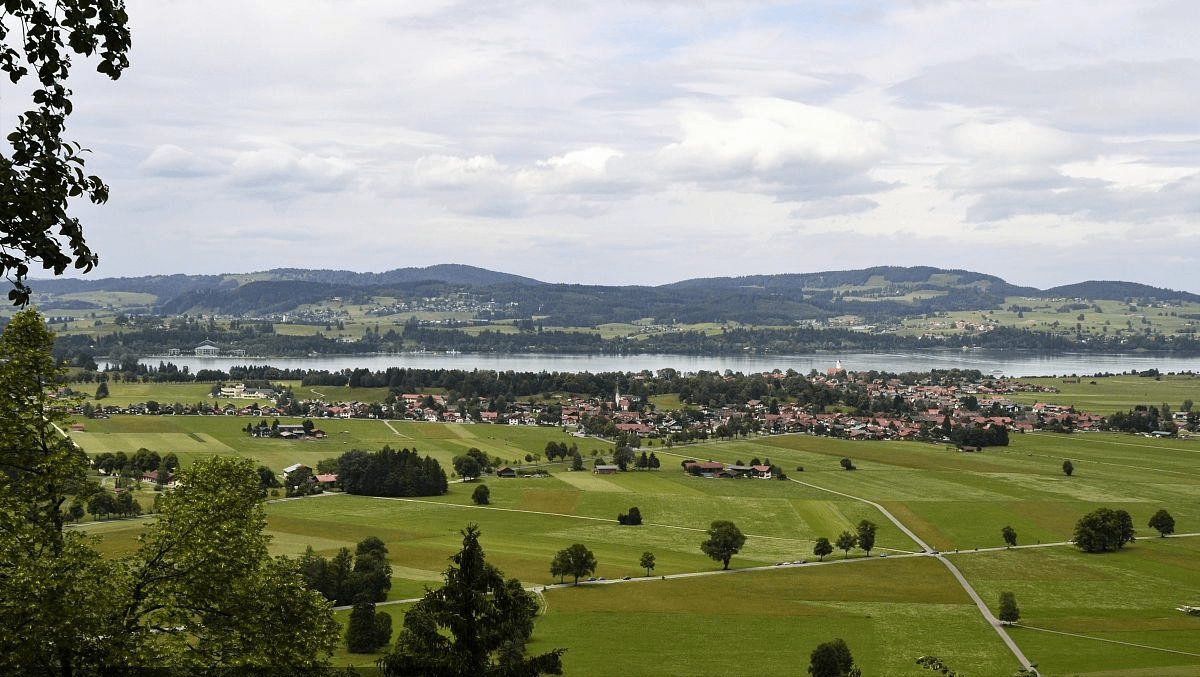 How do Germans use robots to farm? It is foreseeable that farmers may become high-tech and sophisticated professions in the future