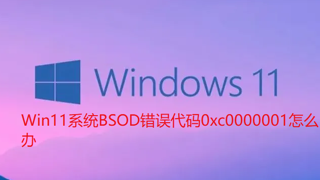 Win11系统BSOD错误代码0xc0000001怎么办