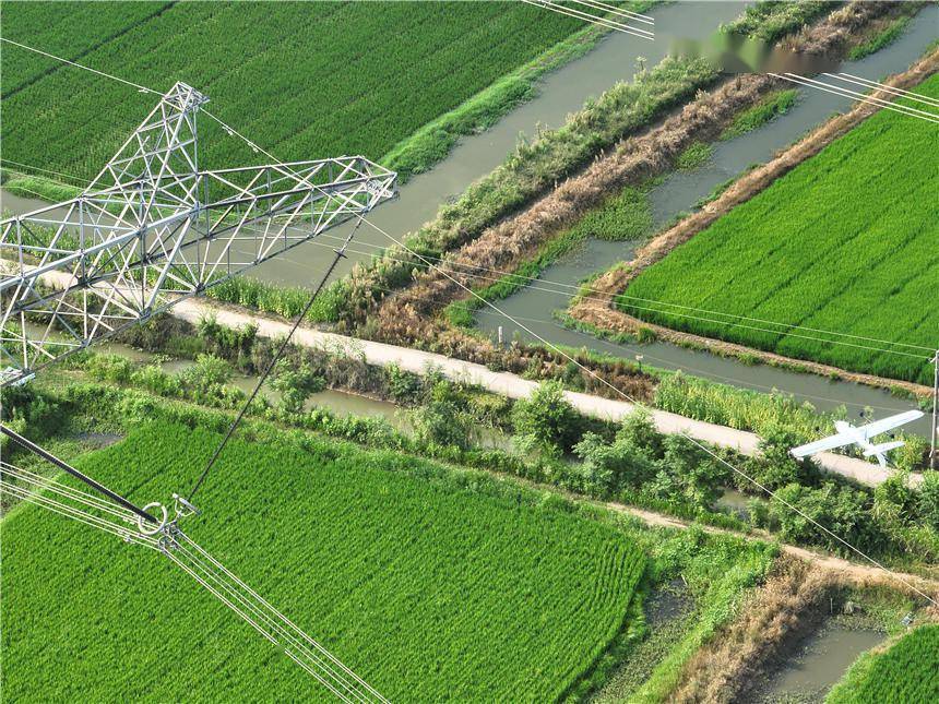 New breakthrough! State Grid Jingzhou Power Supply Company uses fixed-wing drones for the first time to inspect ultra-high voltage transmission lines