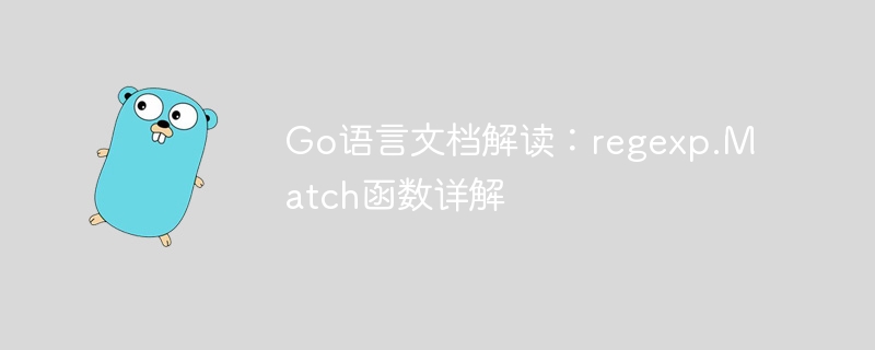 Go语言文档解读：regexp.Match函数详解