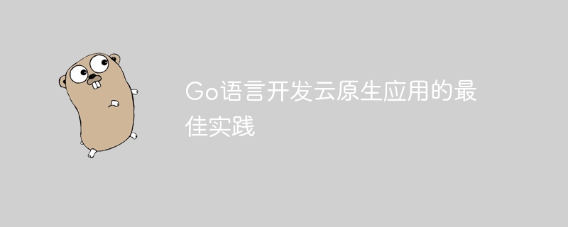 Go语言开发云原生应用的最佳实践