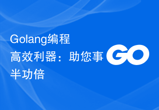 Golang程式高效利器：助您事半功倍