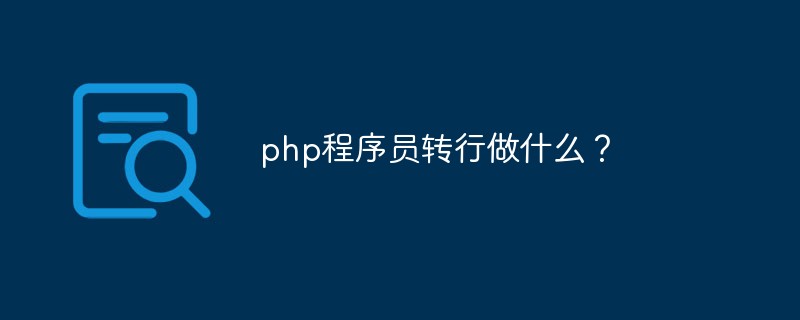 PHP プログラマーは転職したら何をしますか?