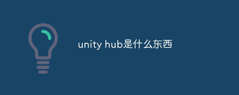 Was ist Unity Hub?