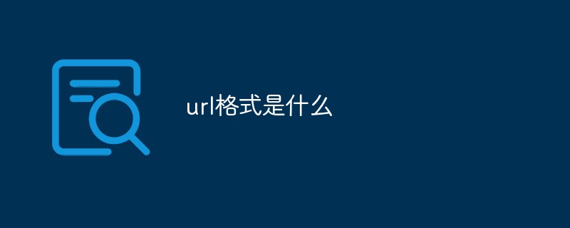 URL 형식은 무엇입니까?