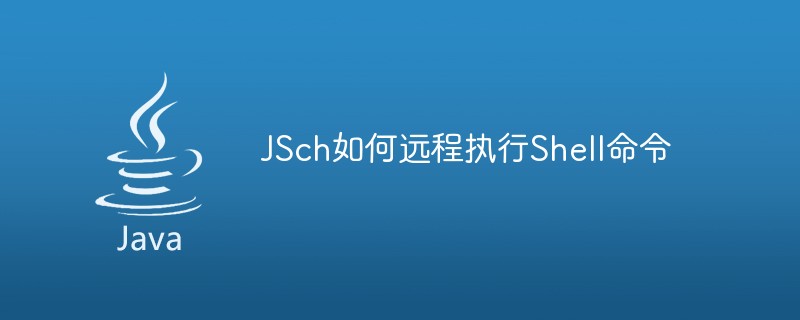 JSch がシェル コマンドをリモートで実行する方法