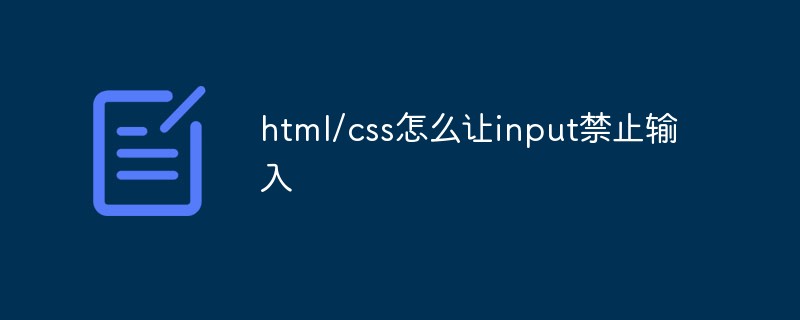 How to disable input in html/css