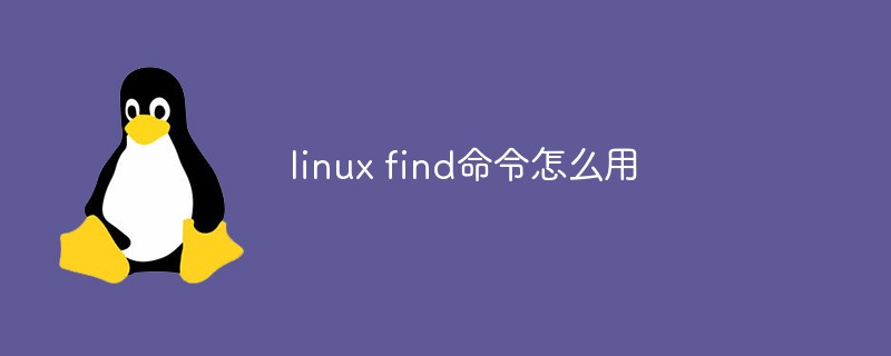 How to use linux find command