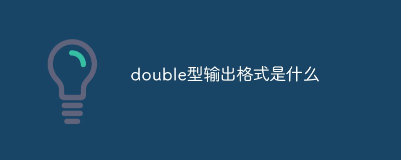 double型输出格式是什么
