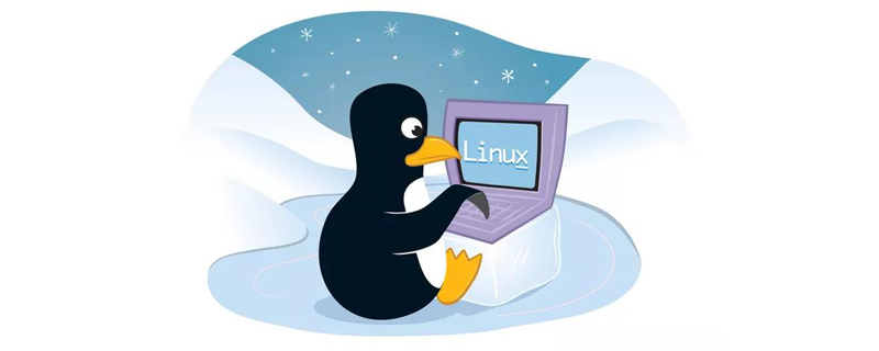 浅析Linux中服务器代码部署篇（分享）