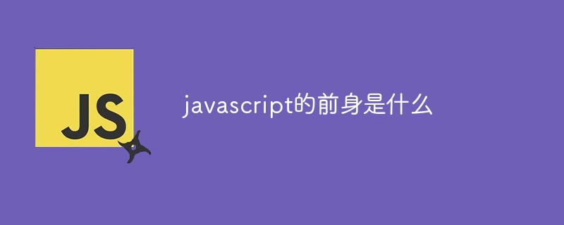 javascript的前身是什么