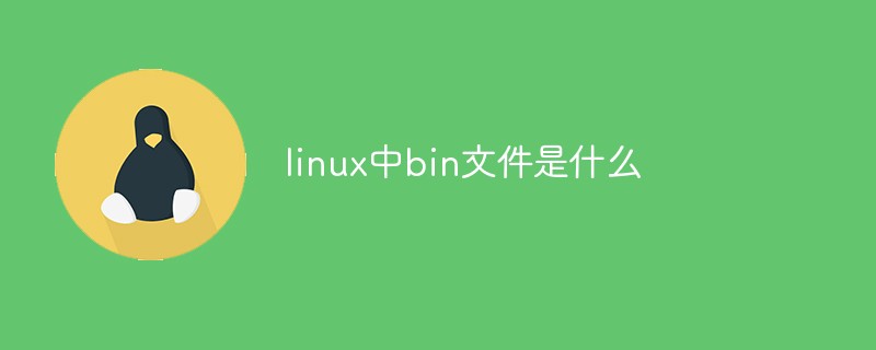 What is the bin file in linux