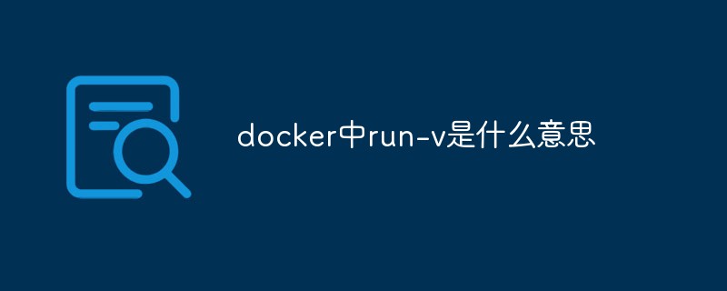 What does run-v mean in docker