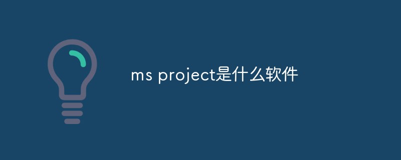 What software is ms project?