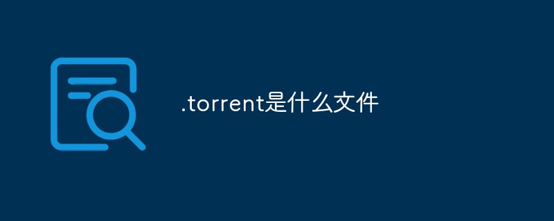 What is a .torrent file?