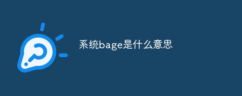 What does system bagage mean?