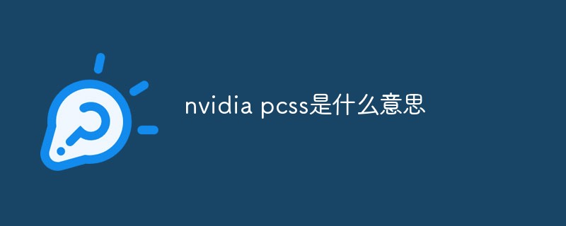 nvidia pcss what does it mean