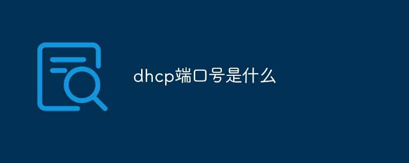 What is the dhcp port number?