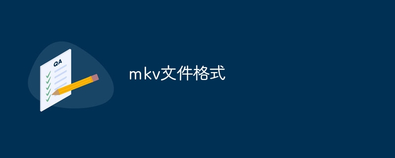 mkv file format