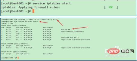 What should I do if I cannot access the web page after apache is started?