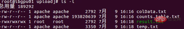 How to check which user a file belongs to in centos