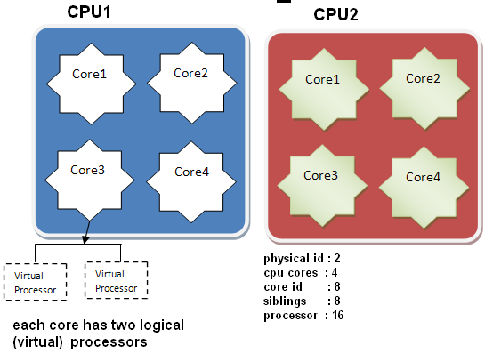 How to check cpu information in linux