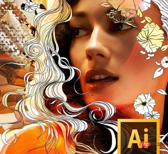 What software is illustrator?