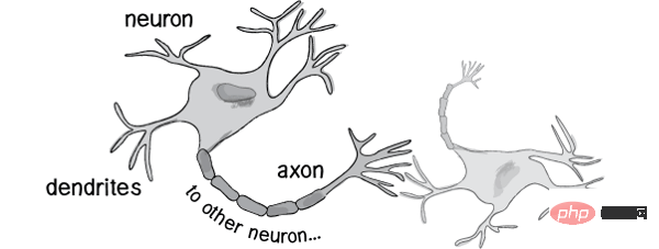 Introduction to Neural Network Algorithm Basics